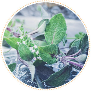 Herbs and Aromas